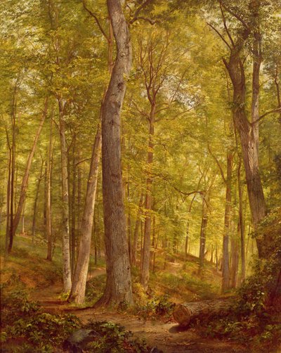 Juniwälder, Pennsylvania, 1864 von William Trost Richards